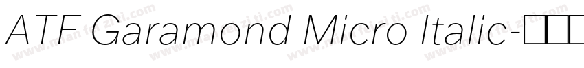 ATF Garamond Micro Italic字体转换